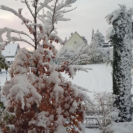 Feriendomizil Bergamini Apartment Bischoffingen ภายนอก รูปภาพ
