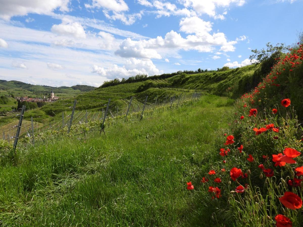 Feriendomizil Bergamini Apartment Bischoffingen ภายนอก รูปภาพ