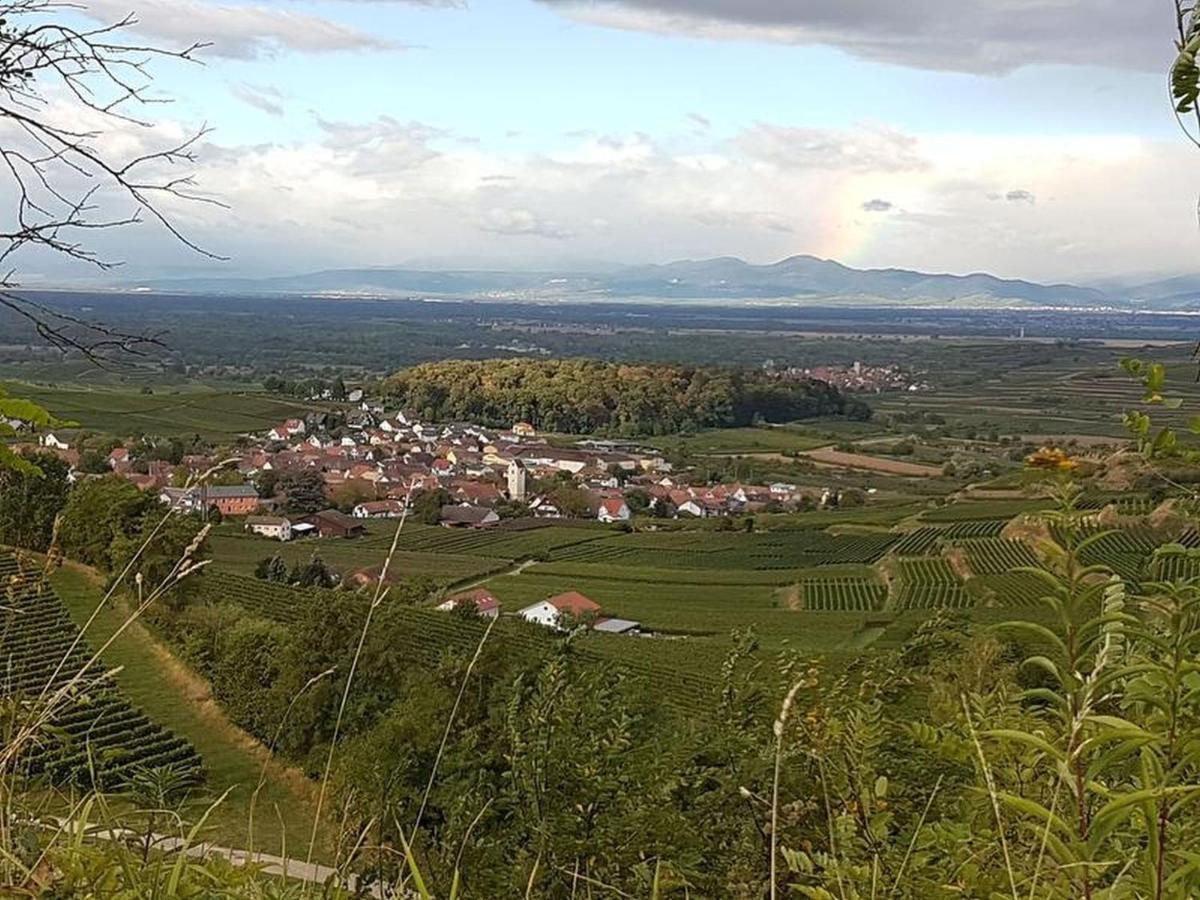 Feriendomizil Bergamini Apartment Bischoffingen ภายนอก รูปภาพ